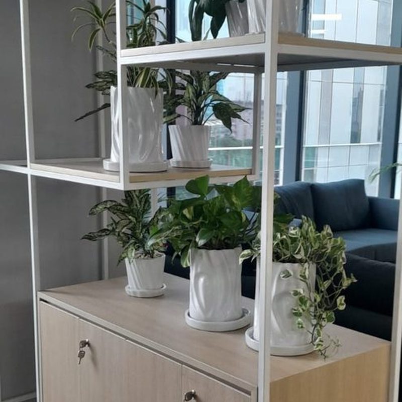 Office shelving styled with potted indoor plants